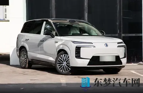 黄色先生：汽车界亮丽风景：如何挑选个性化黄色座驾？-3