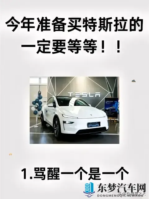 特斯拉车主血泪忠告：5个智商税坑2万，提车用车售后避坑指南-1