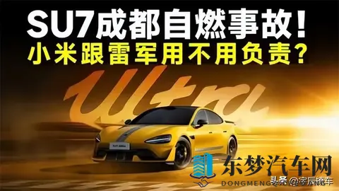 每万辆车自燃52辆却无人问津 新能源车为何成背锅侠