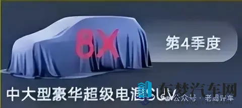 极氪9X小弟极氪8X：30万级插混新卷王，400km纯电，四季度上市！