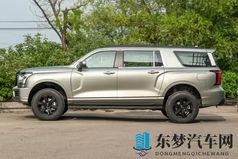 能拉货能越野，价格是坦克300的一半，配20T+8AT，分时四驱-3