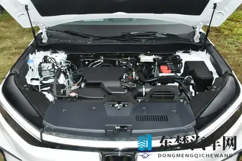 五月停停：五月悠然，小憩时光-1