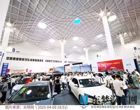 从全免到减半：购置税调整下的新能源车变局-2