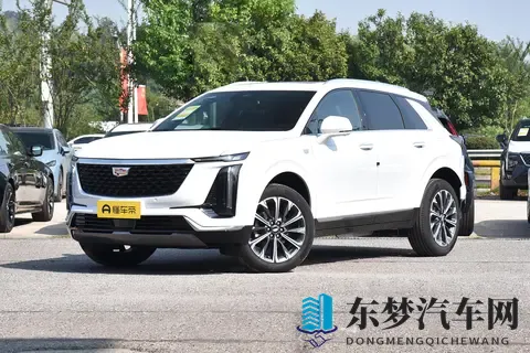 麻花传mdr免费版国语：汽车学习神器来袭，汽车知识普及新篇章