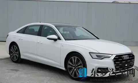 奥迪A6L设计“大变脸”引争议：是大胆革新还是用力过猛？-3