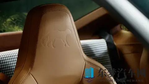 以自然景观为定制开发灵感，保时捷911 GT3 ‘Ocelot’正式发布-2