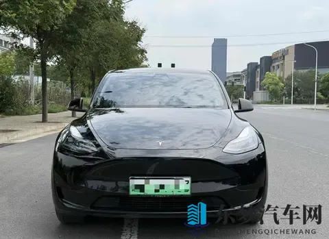 二手特斯拉Model Y购买指南：性价比，风险，未来？-1