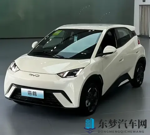 海鸥真实口碑：优点夸到停，缺点吐槽声从没断-1