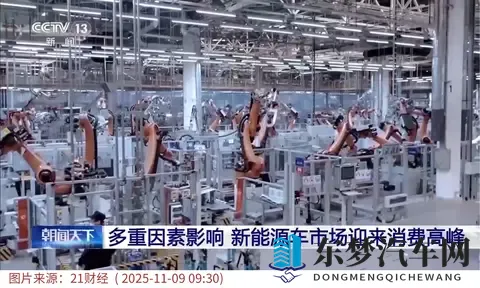 从全免到减半：购置税调整下的新能源车变局-3