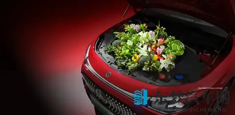 岳伦和岳伦一区二区三区的区别:汽车新秀:三款配置不同,价格亲民的车款,哪一款是你的菜?-1