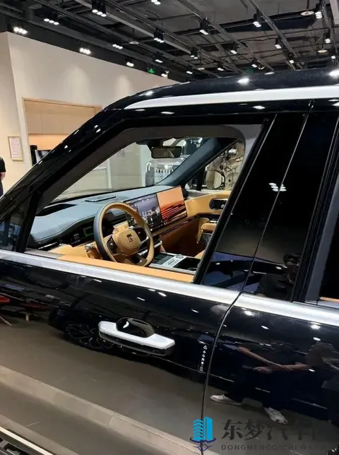 家用MPV选什么？实拍极氪009，宜商宜家实力派-2