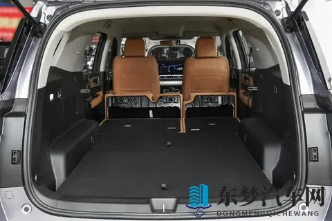 能拉货能越野，价格是坦克300的一半，配20T+8AT，分时四驱-2