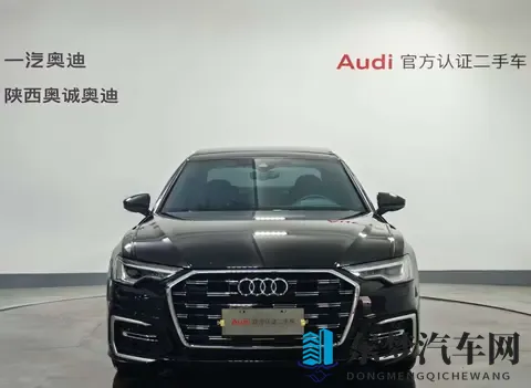 绿巨人网站：电动汽车崛起，自动驾驶技术革新