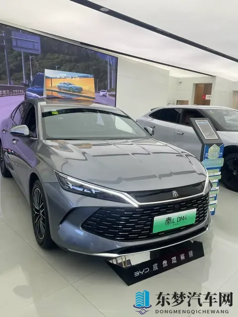 年度销量TOP10出炉,7款新能源霸榜,燃油车仅剩3席,时代真的变-3