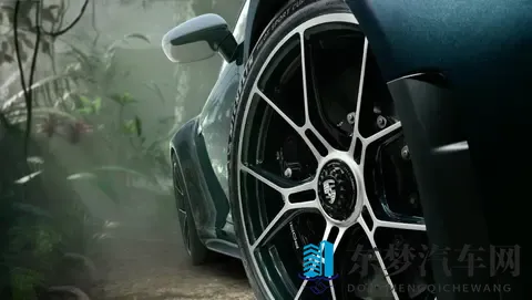 以自然景观为定制开发灵感，保时捷911 GT3 ‘Ocelot’正式发布-1