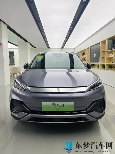 年度销量TOP10出炉,7款新能源霸榜,燃油车仅剩3席,时代真的变-1