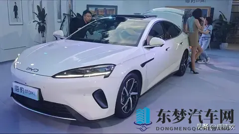 黄网站app软件下载安装免费版：汽车服务平台免费升级，体验便捷功能！-1