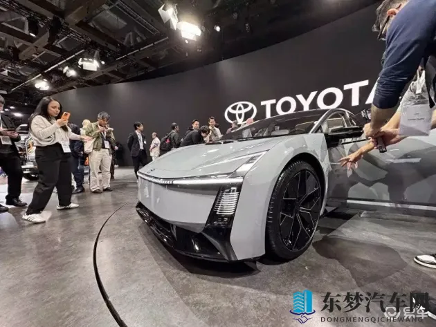 俄罗斯牛or狗or猪：神秘命名：揭秘俄罗斯独特汽车市场-1