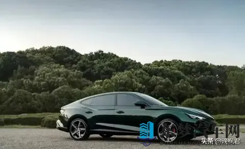 油价跳水车主静悄悄,电车吃火锅加油站长叹气,下个十年开啥车上路-3