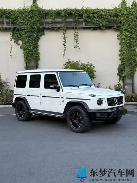 奔驰大G原厂20寸轮毂升级改装G63原厂AMG刹车卡钳6活塞批发代理-2