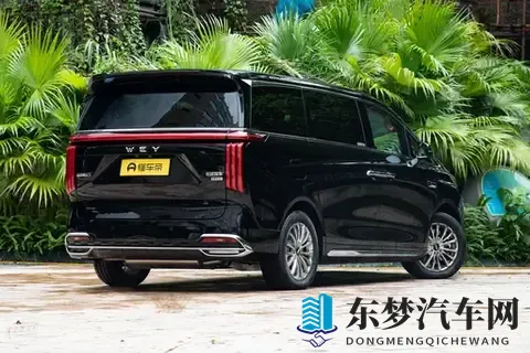 “移动客厅”不只是噱头？带全家出门一趟我就懂了！-1