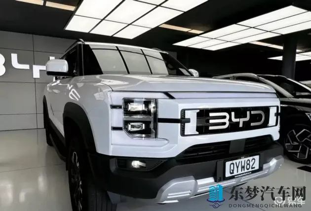 黄版软件:汽车企业新宠:定制化软件助效率翻倍-1