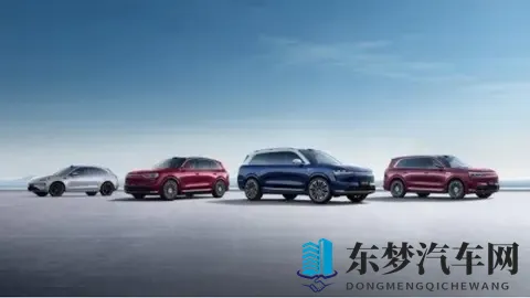 赛力斯港股上市首日破发，问界已经跌落神坛？-3