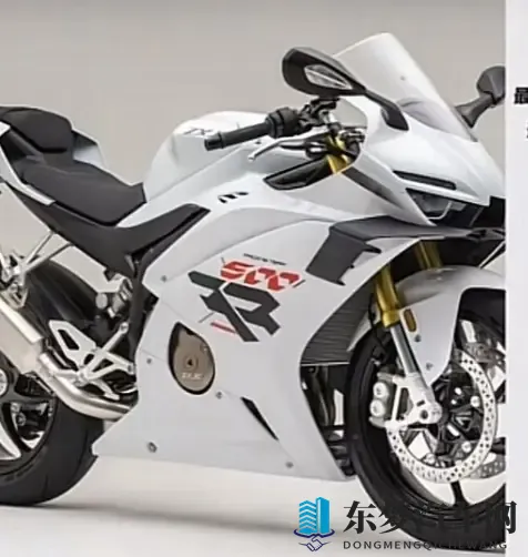 张雪500RR 新手能选吗 答案很明确 分情况冲-2