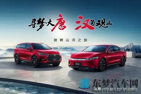 为啥我国新能源汽车能遥遥领先?网友:多亏民族企业争气才弯道超车-2