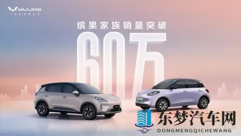 缤果家族累销突破60万辆 缤果S首月销量突破24000辆-2