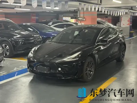 10万出头,圆你特斯拉梦!20年Model3,代步通勤优选-1