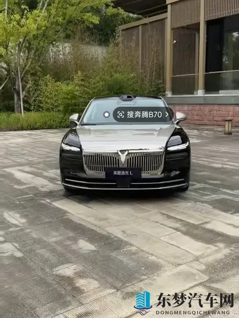 岚图下线30万辆，价格战里另辟蹊径，央企造车也得接地气-2