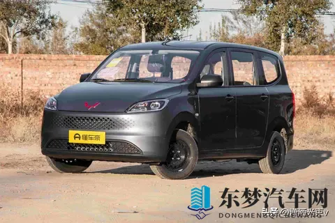 五菱微面要变天，工具车玩出三套动力，谁在悄悄改写乡村出行？-2