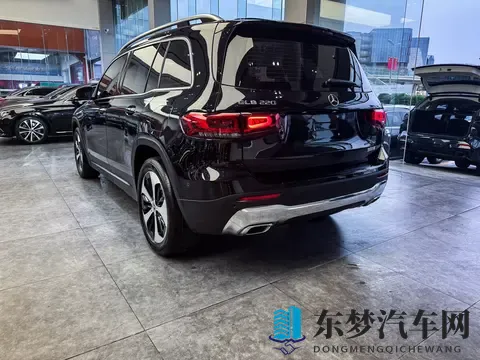 国产乱论：汽车崛起：揭秘国产汽车挑战与机遇-2