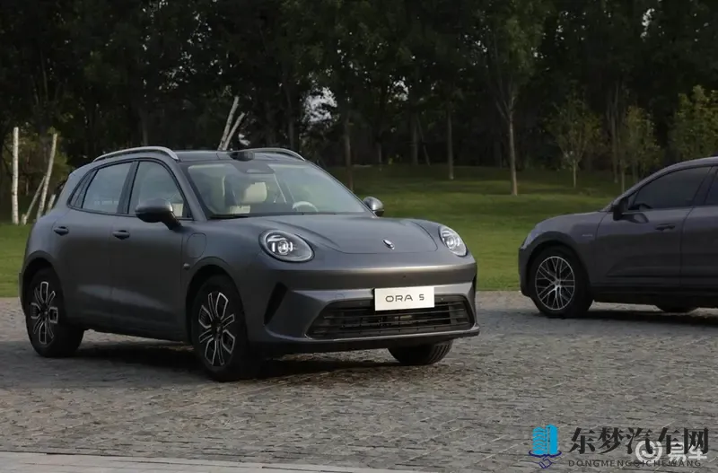 最高续航580公里 配激光雷达 欧拉5的预售价你们满意吗-1