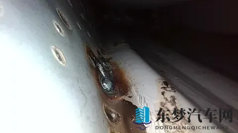 337P人体：人体秘密，337种视角解析