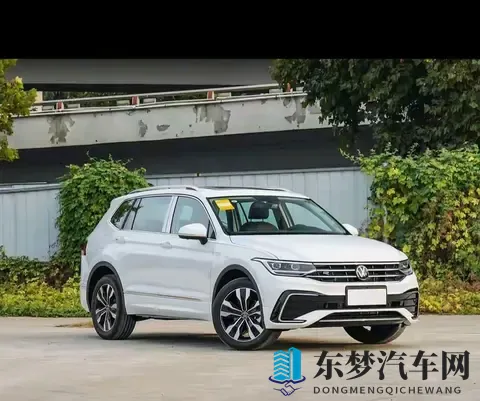 将界2第3集丁思聪把雷总喝醉了：丁思聪雷总醉夜畅谈：新能源汽车与自动驾驶未来展望