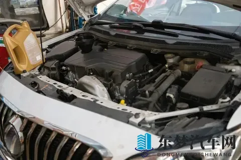 黄色软件APP免费下载：免费获取成人应用，一键下载体验