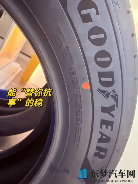 不怕减速带,也不怕井盖,我的城市冒险搭档-1