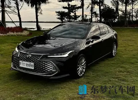 丰田亚洲龙：家用商用都靠谱，省心省油的中型车选择-3