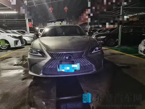 1698万，入手银灰色雷克萨斯ES，宜商宜家之选-2