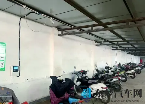 最新男人与雌性宠物交：汽车科技新宠：宠物互动，驾驶体验升级