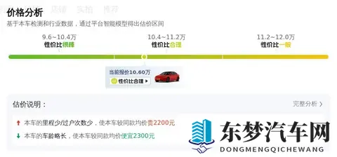10万出头,圆你特斯拉梦!20年Model3,代步通勤优选-2