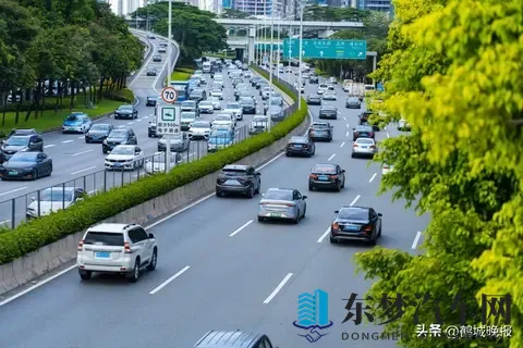 草莓视频52x:草莓盛宴,第52期精彩呈现-3