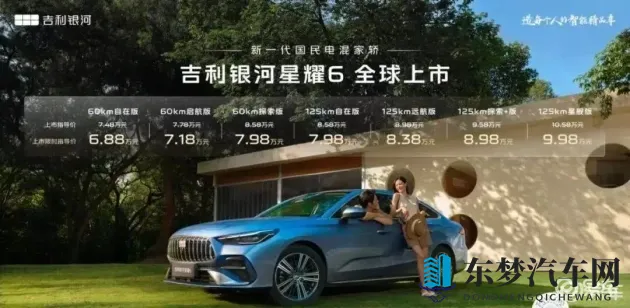 毛多浓密Hairy高清：汽车内饰新潮流：揭秘舒适豪华新选择-1