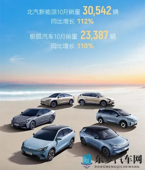 10月新势力销量出炉，“蔚小理”格局大变，理想跌出前五？-3