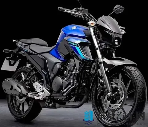 雅马哈飞致250复出 拼的不是马力 是省油能走天下的底气-2