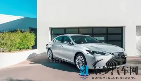 美女被草软件：美女遭遇恶意软件，隐私安全受威胁