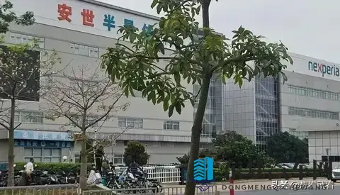 突发特讯！荷兰低头交还安世引国际哗然，严惩内鬼高层势在必行-2