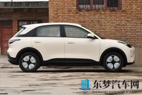 懂车保姆·新车导购2026款销量之王-吉利心愿6w真的值得购买吗?-1